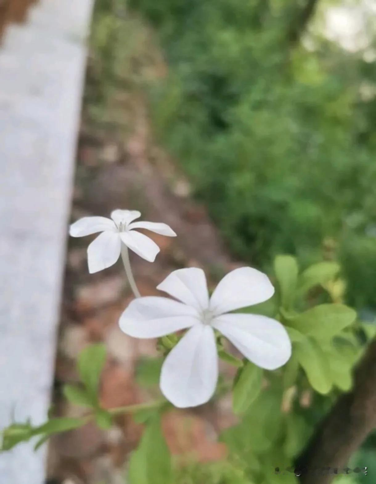 婚姻是一种复杂而多维的关系，其中涉及到的因素众多。而在这些因素中，金钱和性无疑是