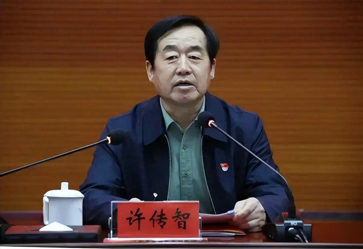 许传智被逮捕中央巡视组原副部级巡视专员许传智涉嫌受贿、利用影响力受贿一案，由国家