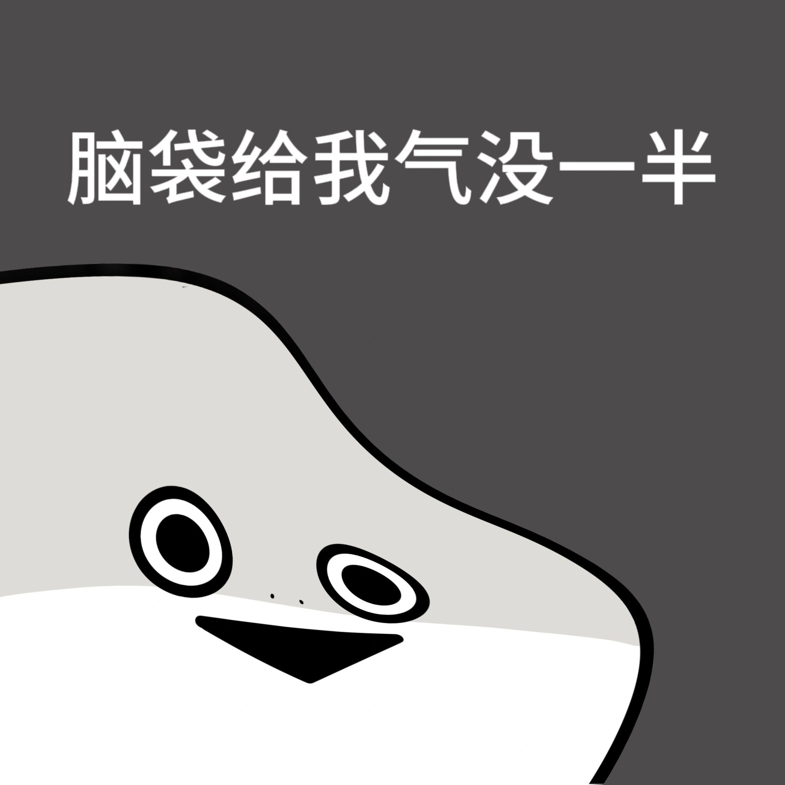 精神状态be like： ​​​