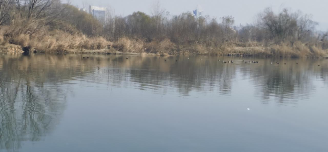 分享一张你随手拍的风光天汉.汉江冬韵（4）