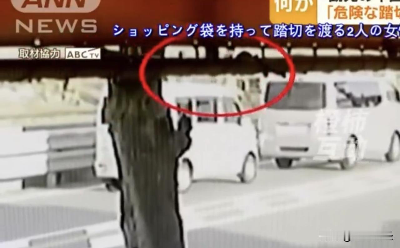 中国游客日本道口遭电车撞击身亡 家属索赔633万元

2025年一月，一场意外让