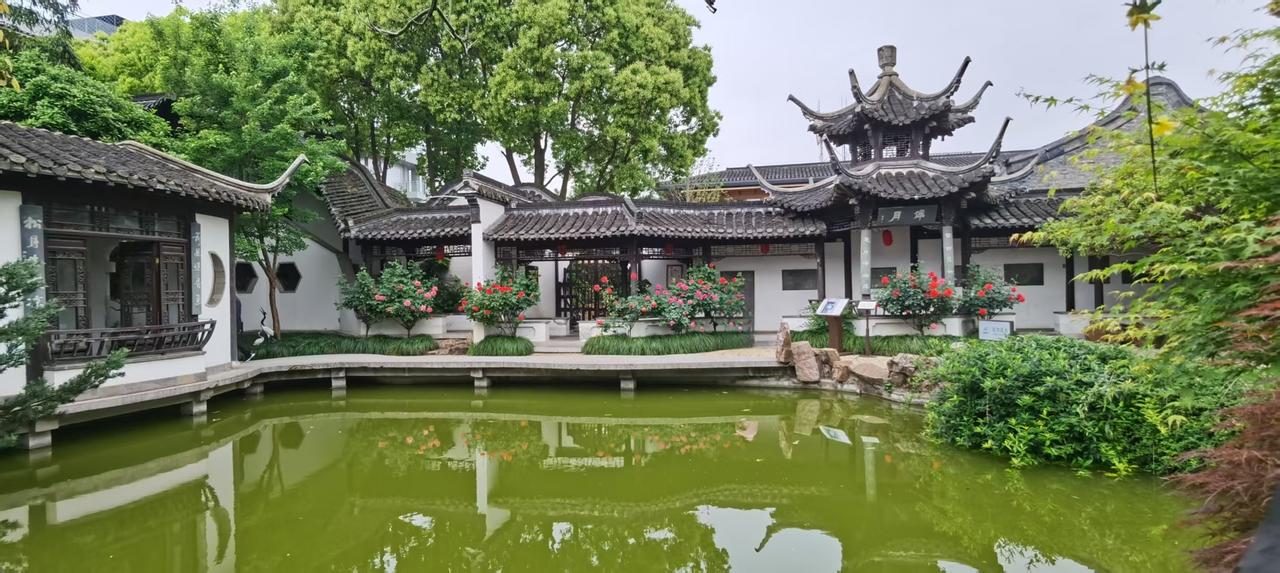 平均年龄85岁的爷爷奶奶们还在搞同学聚会，这本该是多么让人羡慕的生活，竟然还有人