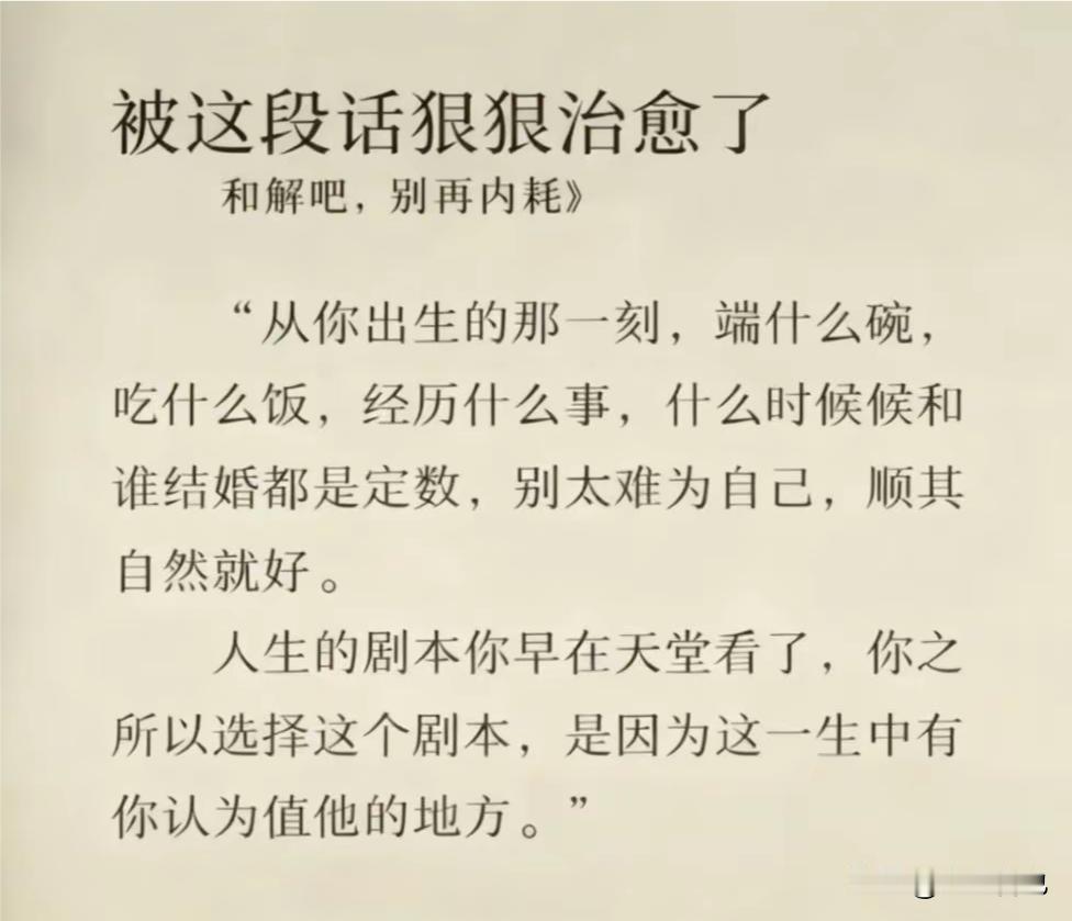 被这段话狠狠治愈了
和解吧，别再内耗》

"从你出生的那一刻，端什么碗，吃什么饭