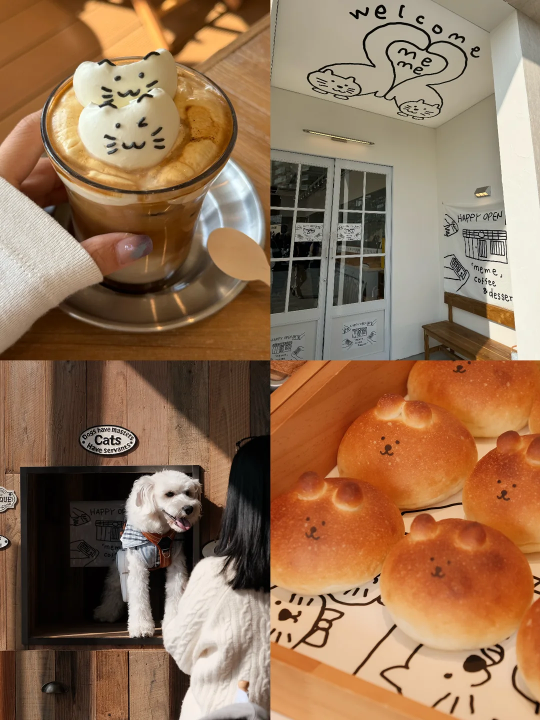 宁波新店📍韩系猫猫咖啡馆🐈假装在济州岛～