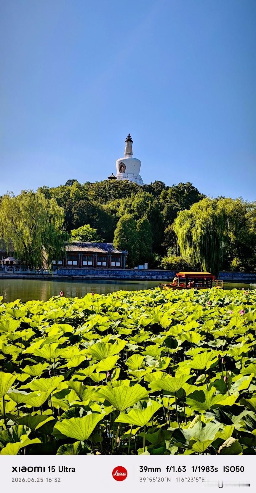 分享你相册里的风景照北海公园是我常去的地方，这里的风景美不胜收！