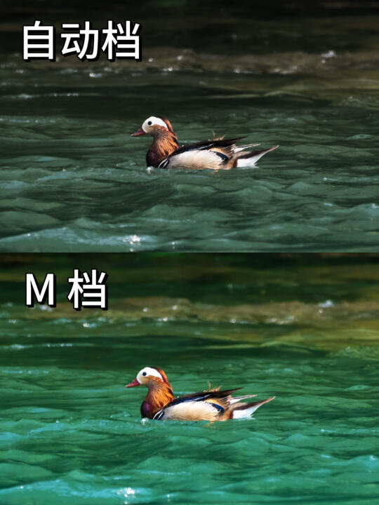 当我学会了M档！
