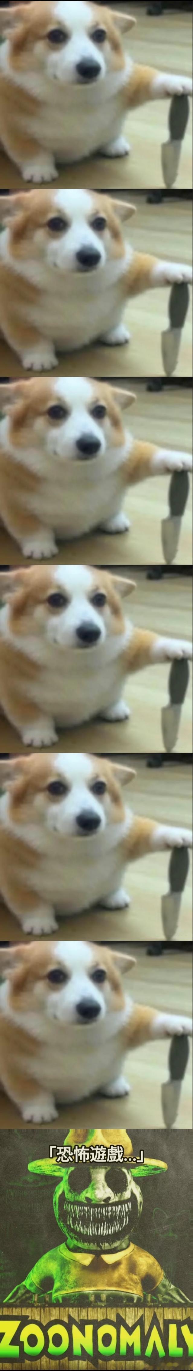 半夜千万不要看…… ​​​