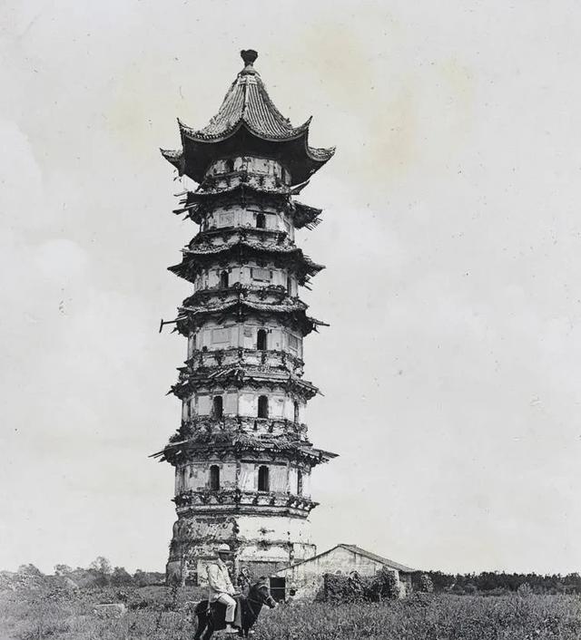 1978年，苏州三名小学生瞒着大人，偷偷来到了郊外的瑞光塔去掏鸟窝。最终，鸟毛也