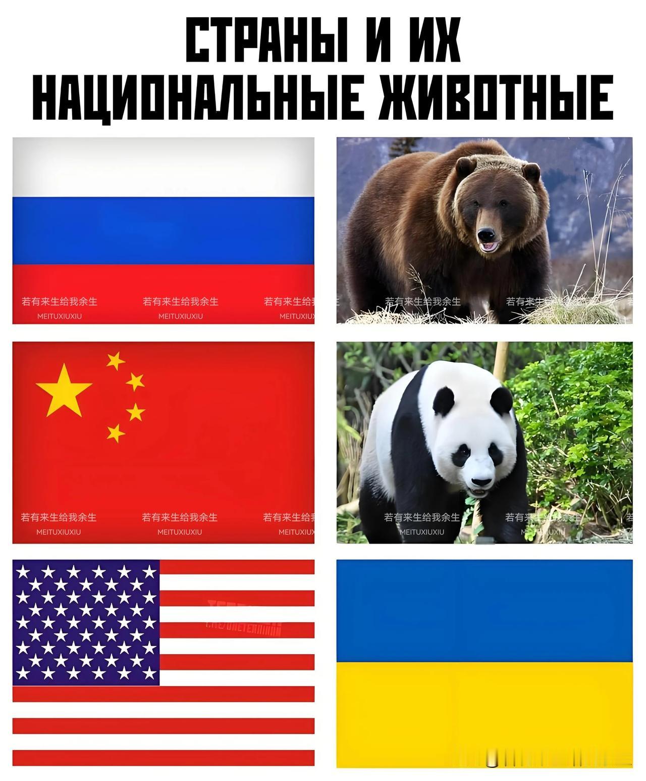 "国家和他们的国家动物"…
🇷🇺🐻
🇨🇳🐼
🇺🇸🦅🇺🇦🐕