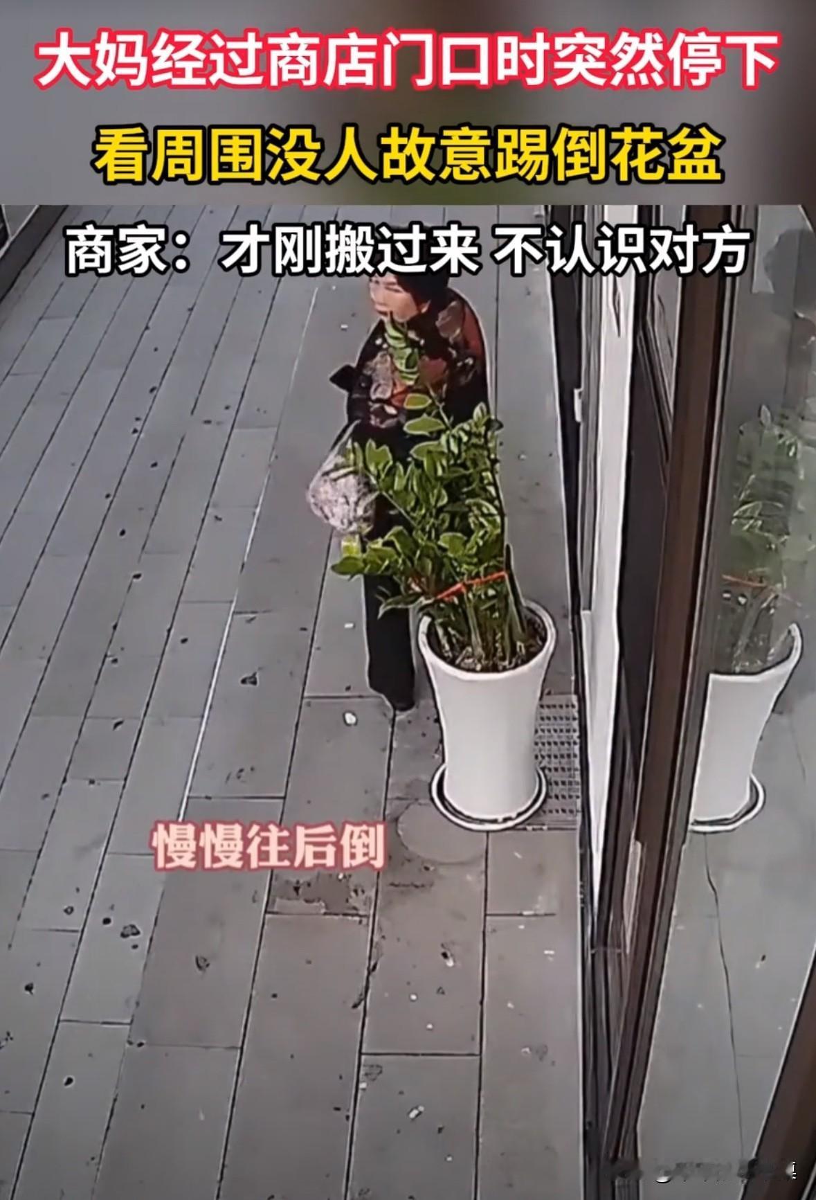 大妈经过商店门口，看到周围没人，于是故意踢倒花盆，花盆瞬间碎了一地。
后来店老板