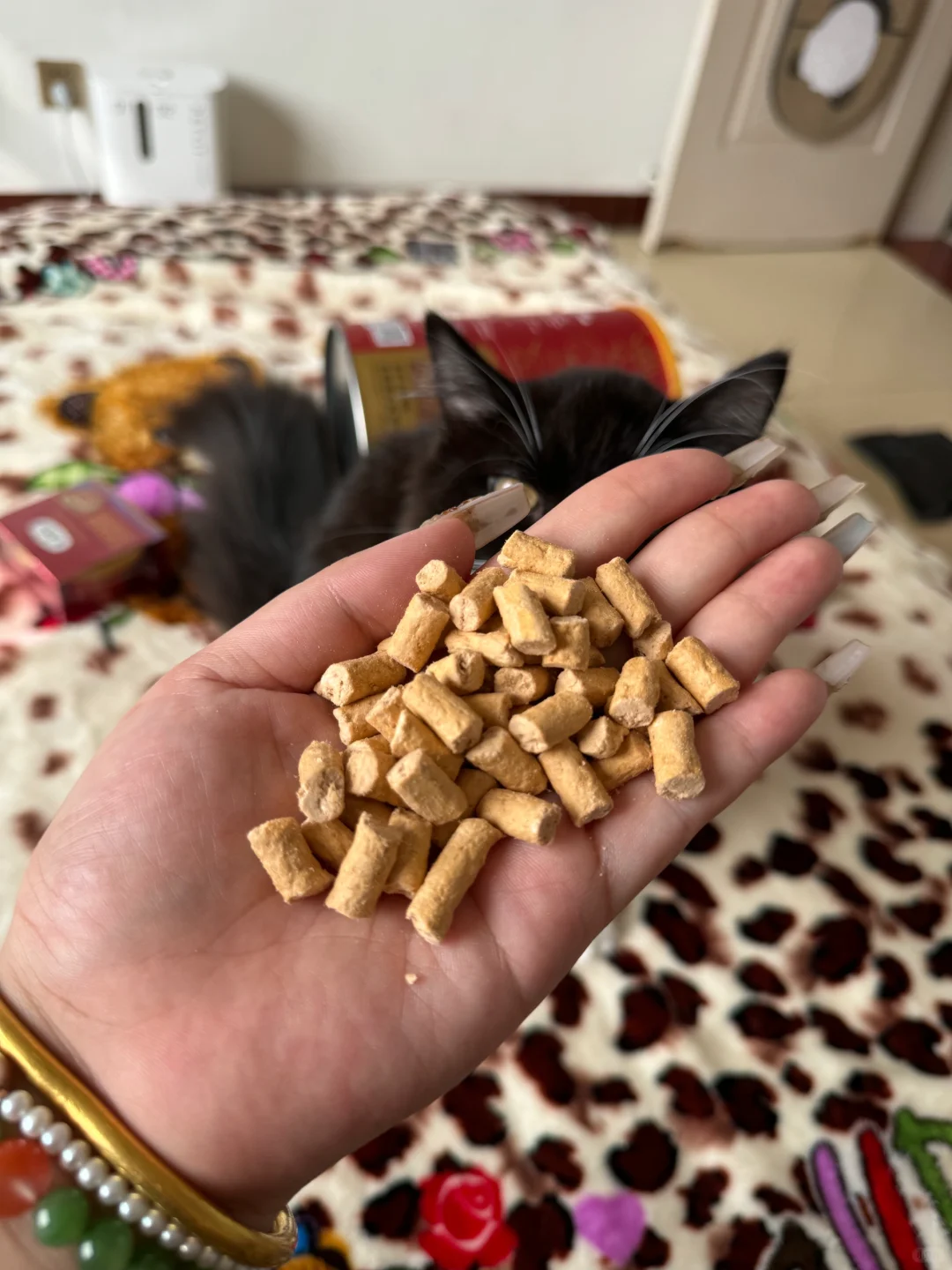 弗列加特冻干能美毛吗？