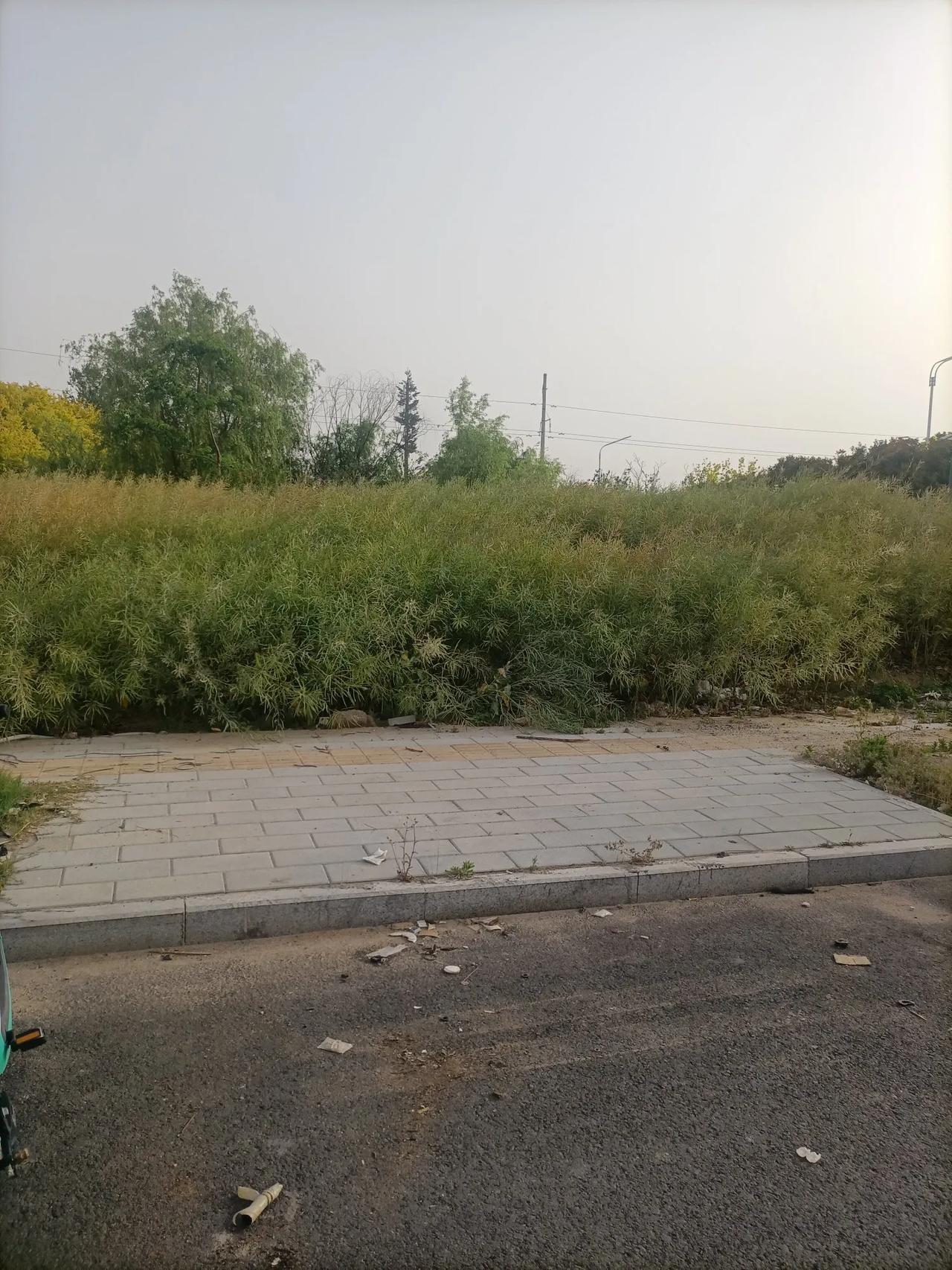 不能轻言放弃
 高二美术联考落选，老师说我“缺乏天赋”，父亲锁起画具时，颜料管滚