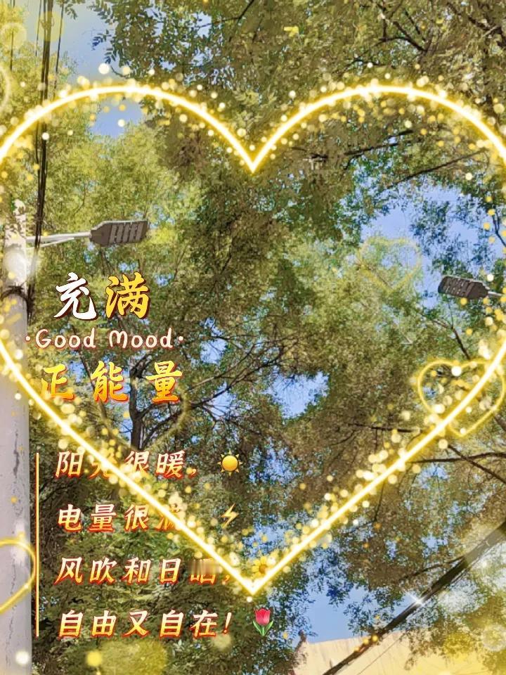 秋日生活打卡季秋风扫落叶