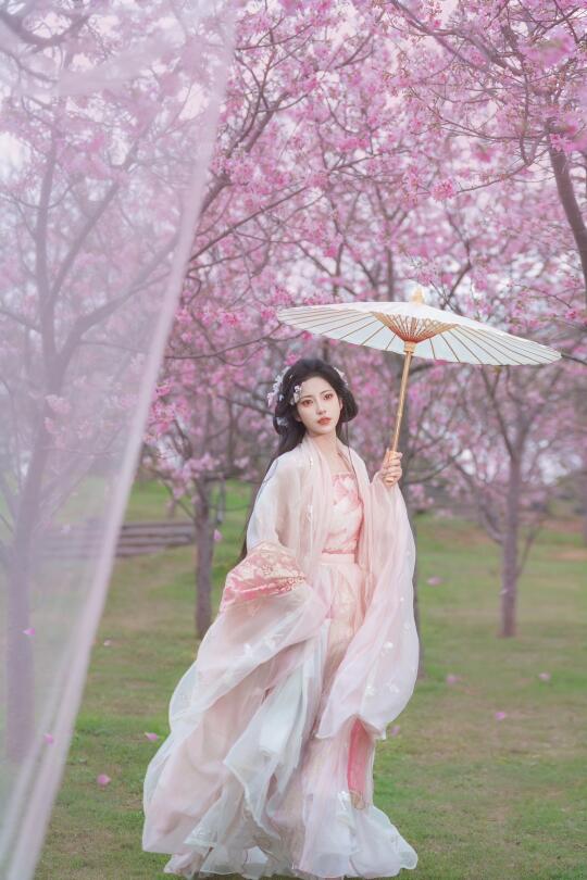 请问我是今年第一个去青秀山拍樱花的人吗？！