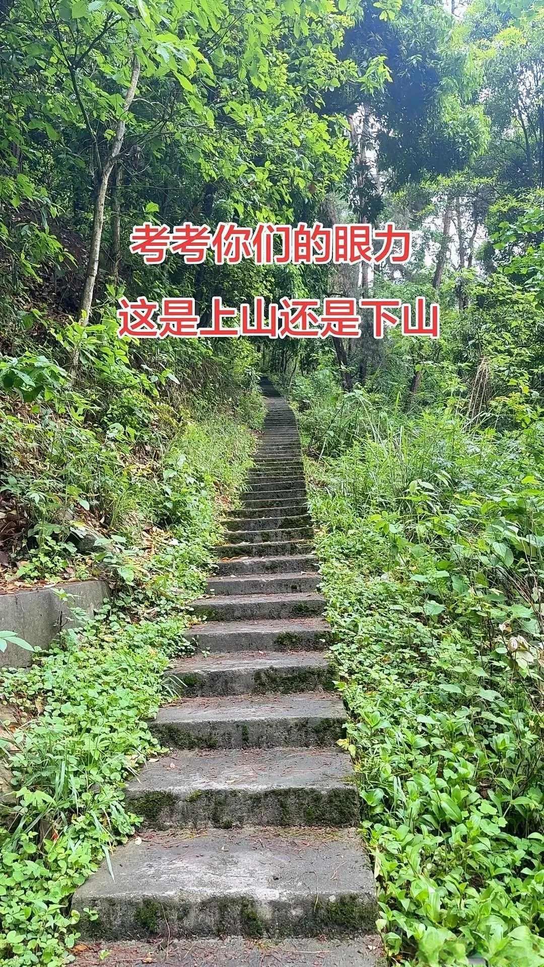 上山扣1下山扣2看不出来扣3 