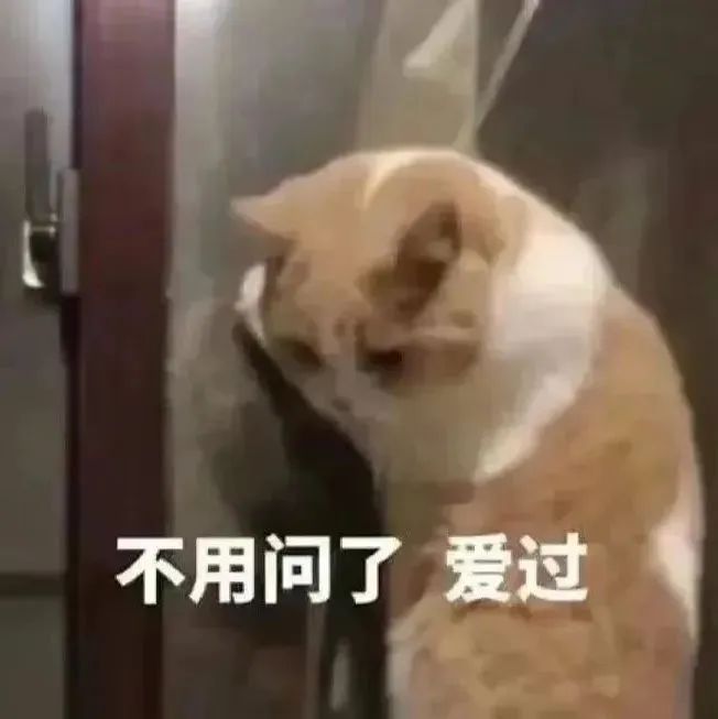 萌趣表情包，让聊天更生动！ #表情包# ​​​