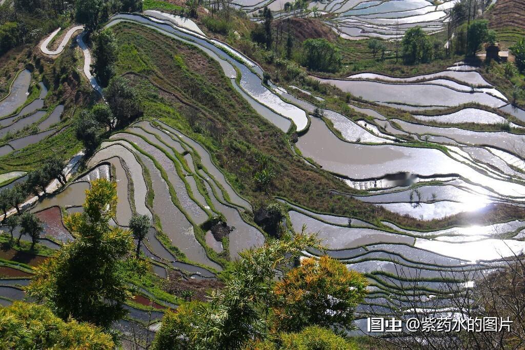旅行合肥旅行拍照风光