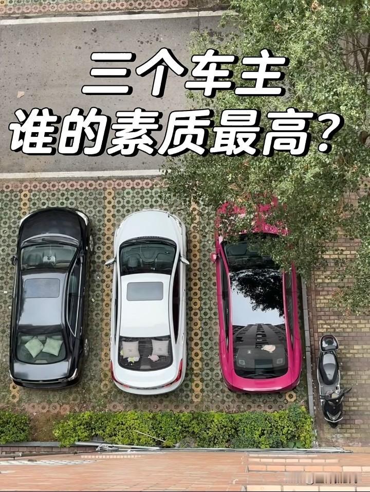 哪个车主的素质最高