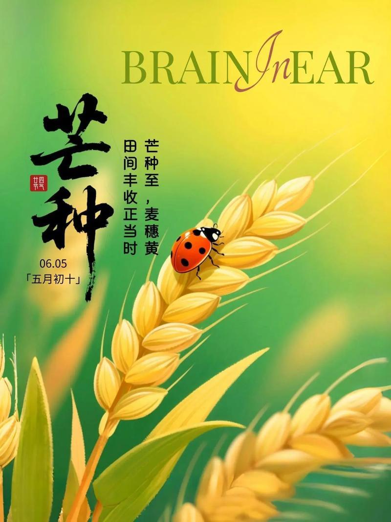 节当芒种农将晚，望雨家家更尽情
——芒种有感

[心][心][心]

芒种到了，