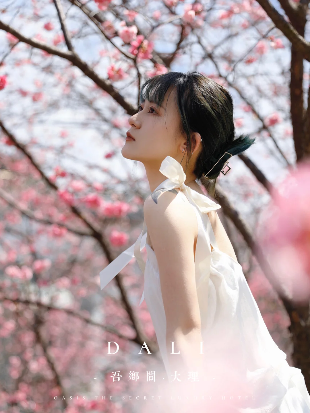 我在大理，很想和你交换满是鲜花的春天