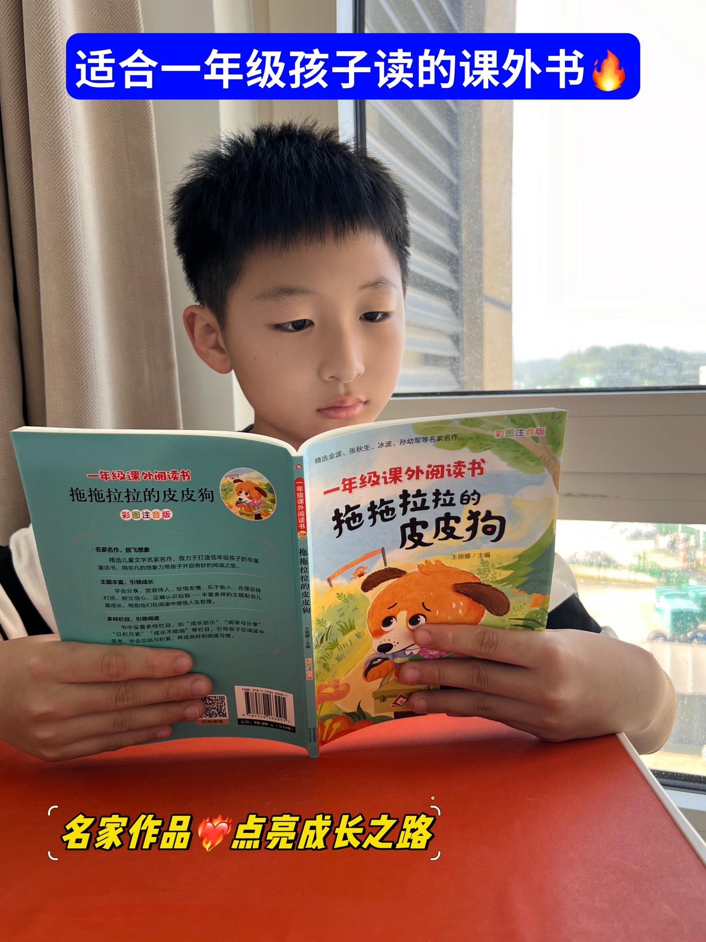 适合一年级阅读的课外书，精选金波、张秋生等名家儿童经典故事，培养孩子阅...