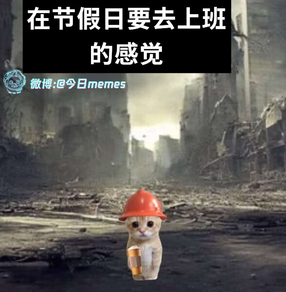 鲁滨逊体验（9gag）今日meme今日memes