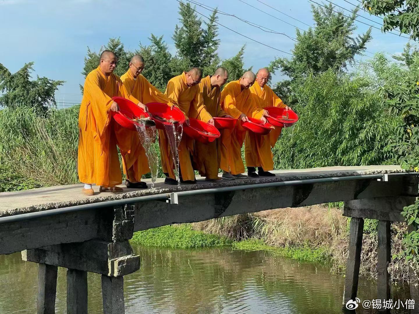 佛教  就在明日放生护生登记 