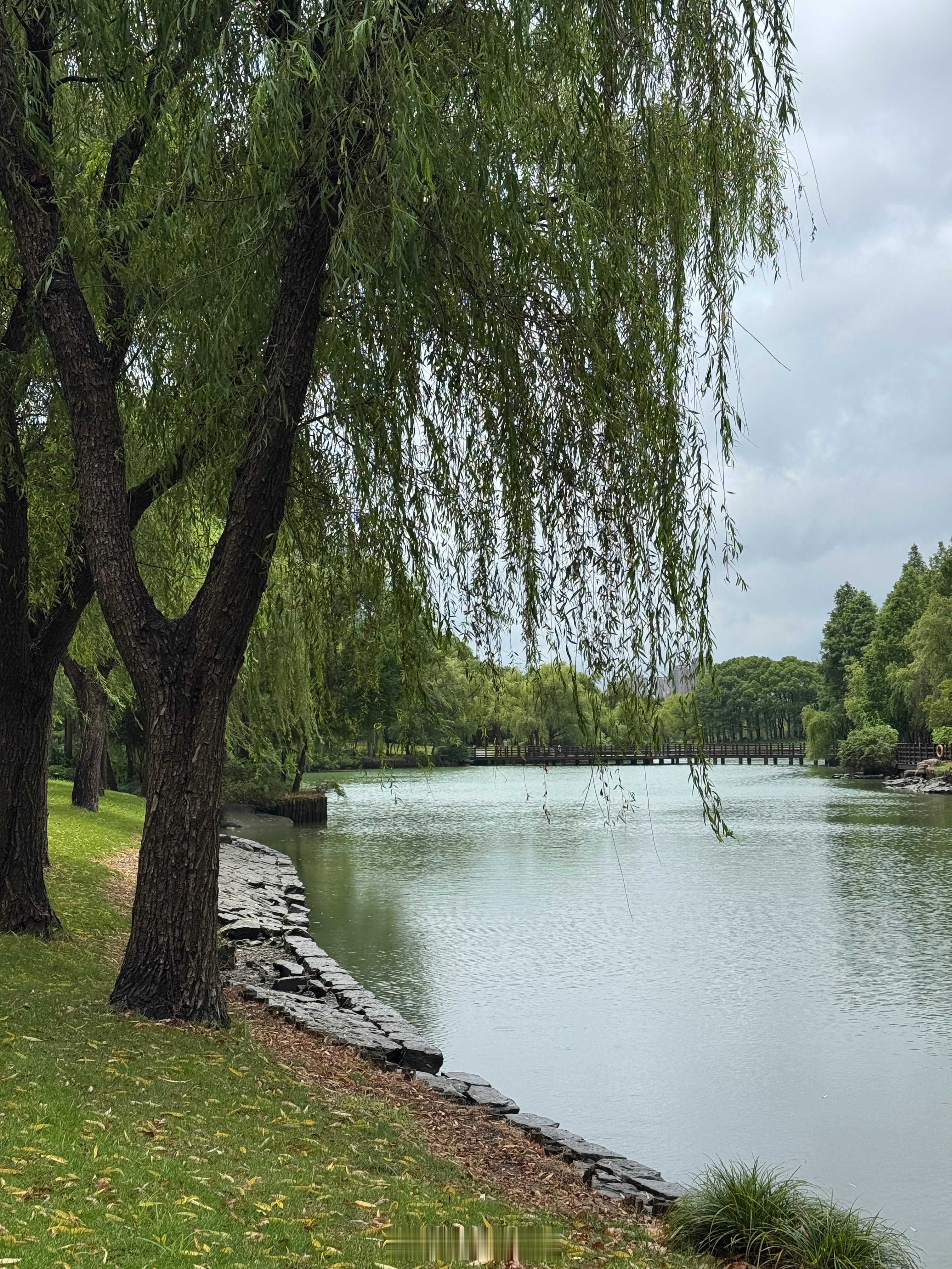 这两天的上海，都是太阳雨的天气。跑步有点困难，我就去快走了一小时，也是挺舒服的！