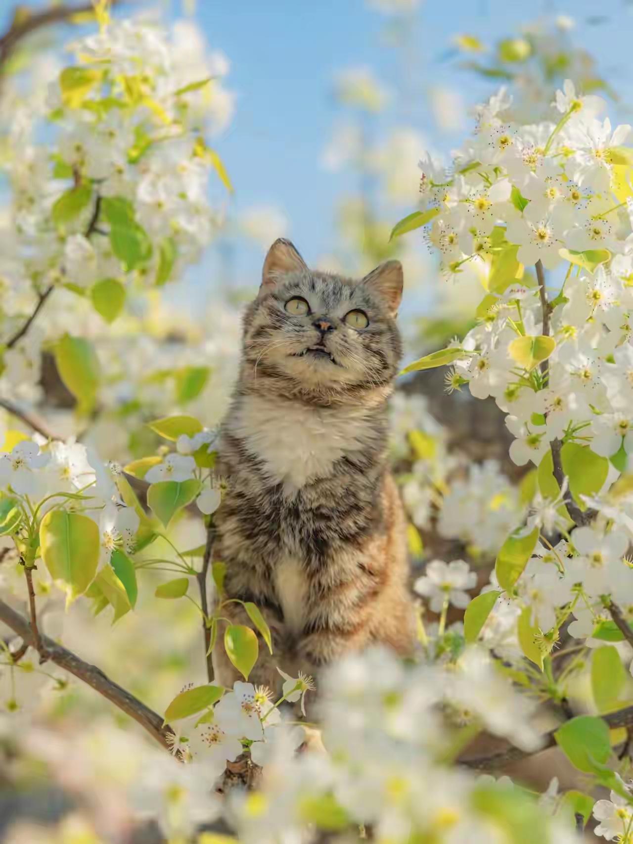 喜欢一件事，一个物品，一款摆件，一道美食，一项运动，一只小动物，或者喜欢一个人，