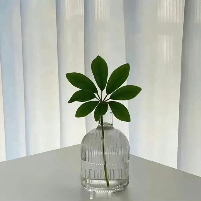 转发好运别急，好运会一个捱着一个向你报到。 