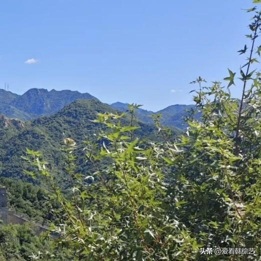 秋日生活打卡季晴空湛蓝，群山叠翠，枝叶缝隙里望见长城蜿蜒，隐没在漫山绿意中。山风