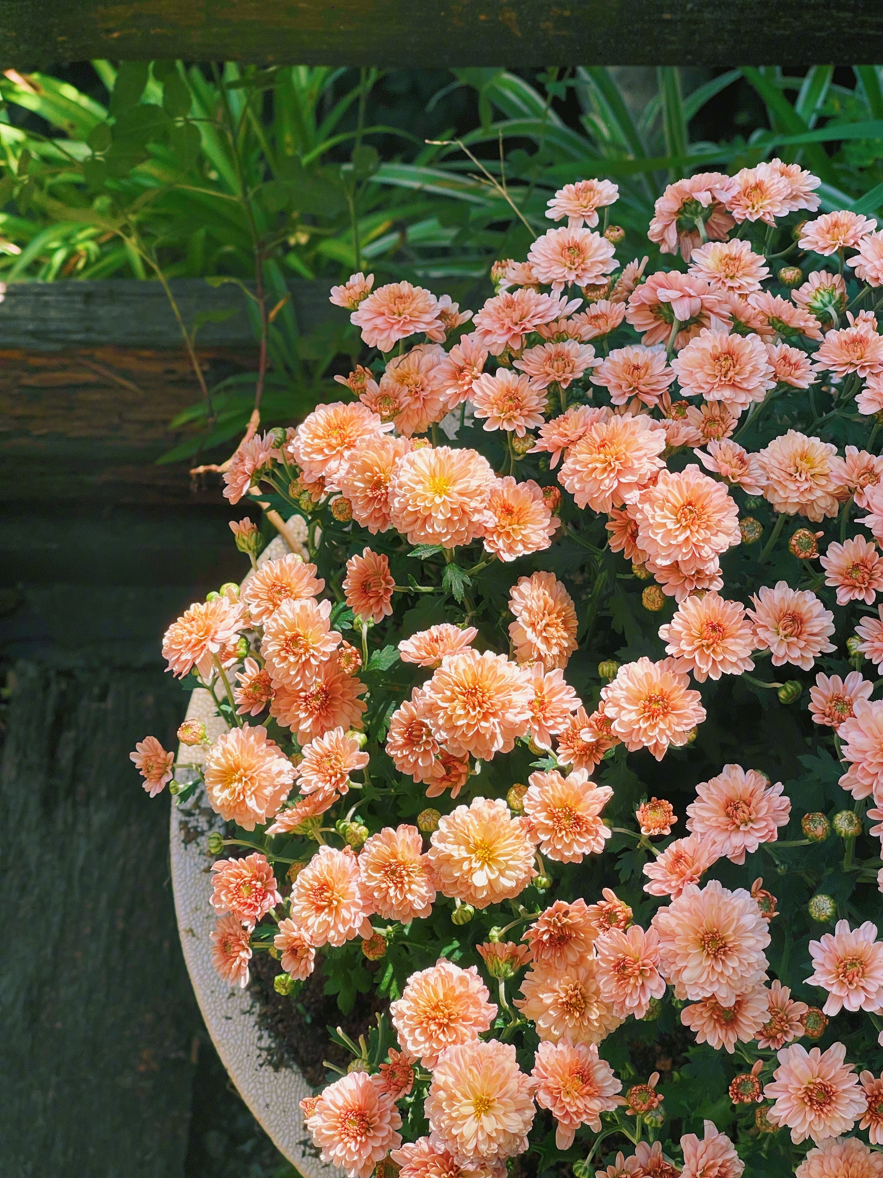 一个人在长大成人的过程中被身边人怎么对待的，在成人之后就怎么对待别人。真的是这样