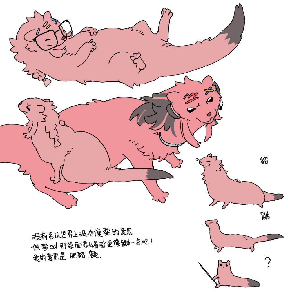 歧视一只肥貂 ​​​