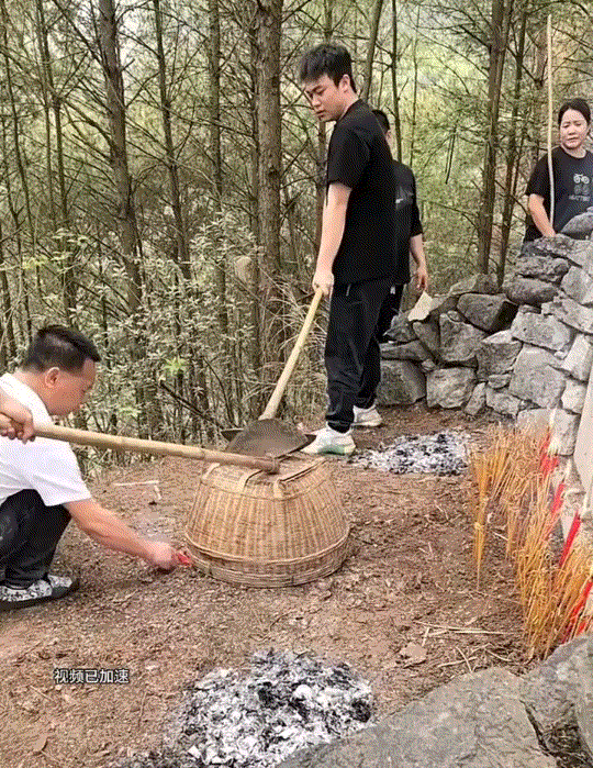 这下祖坟真的冒烟了！男子一家人清明去拜山祭祖，男子带了鞭炮，但又怕周围起火，于是