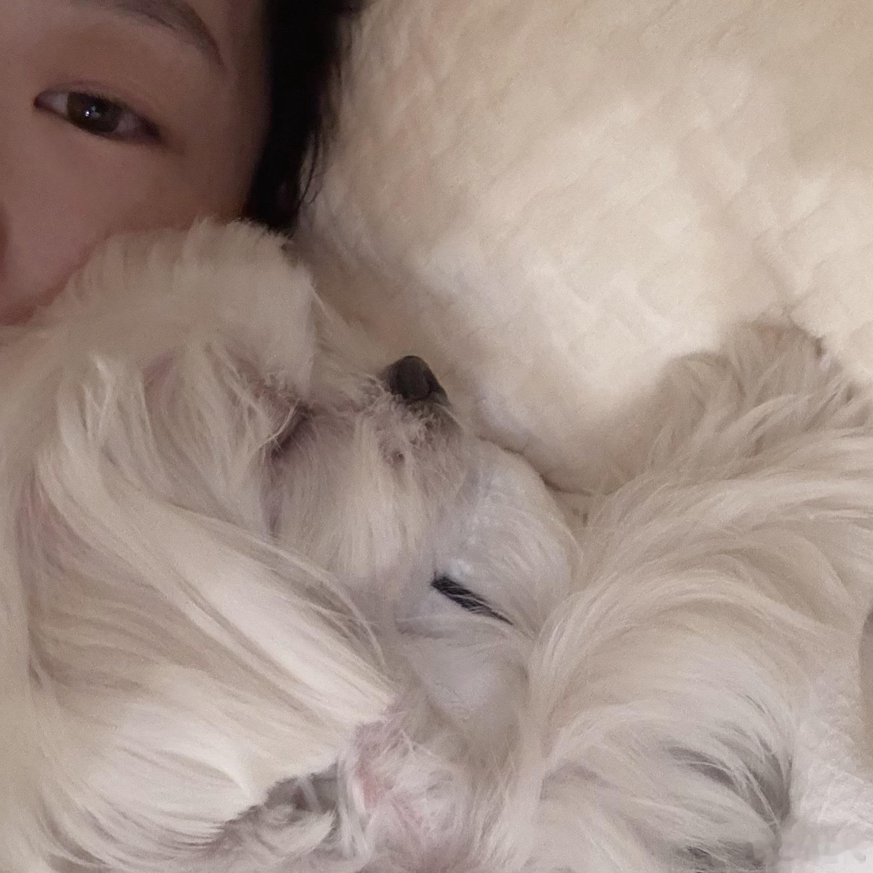 今天梦里见今天早早说晚安😴祝大家好梦凡凡的不凡日常 ​​​