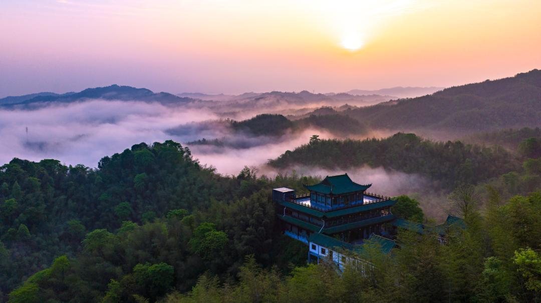 随手拍下初夏美景