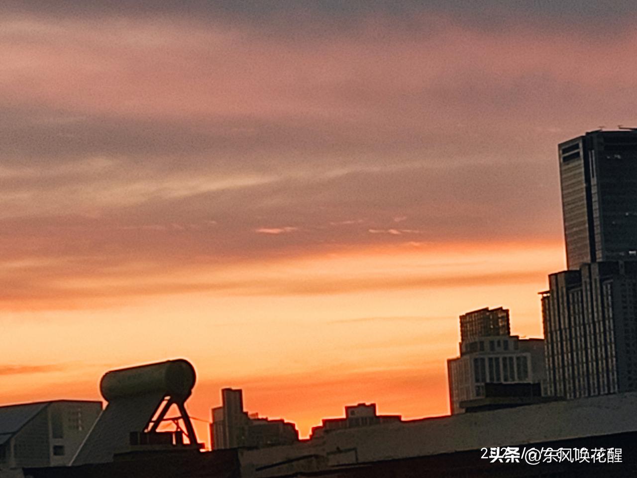 昨晚彩霞映天，落日余晖，天空的景色太美了。窗外的草茉莉花，在晚霞的映衬下，显得更