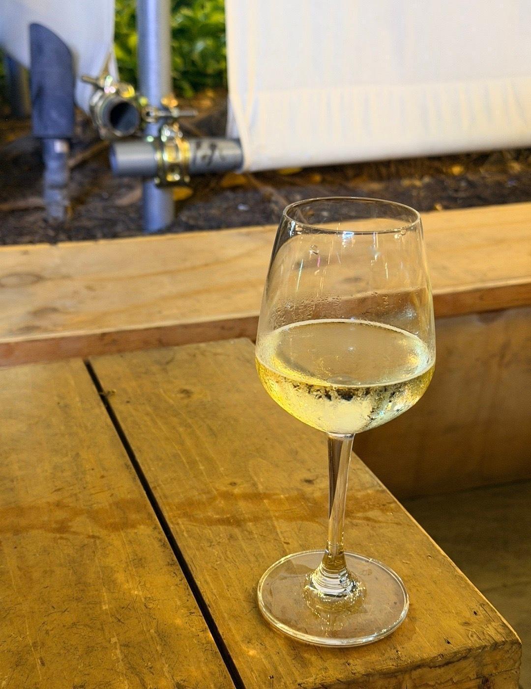 新年快乐！
我的愿望实现得非常彻底（在夏天喝干白or气泡酒），希望26年我的内容