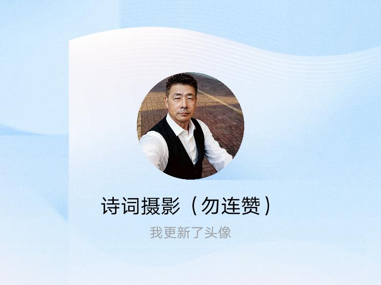 快来看看我新换的头像吧