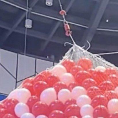 随手拍超级治愈！ 