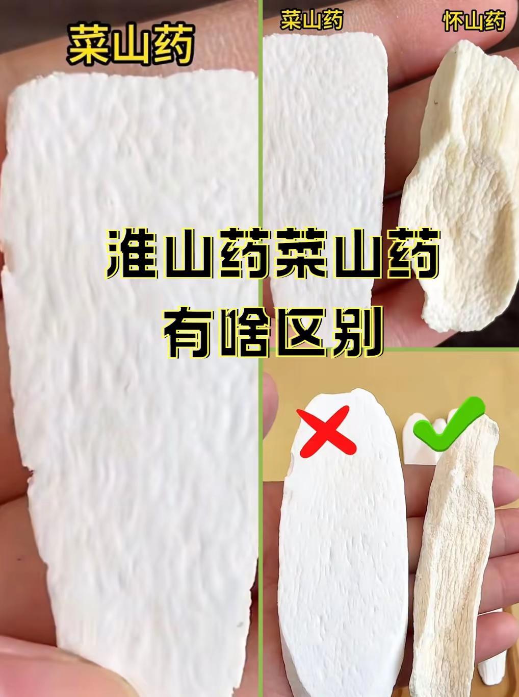 怀山药和菜山药有啥区别？。山药 淮山药 怀山药