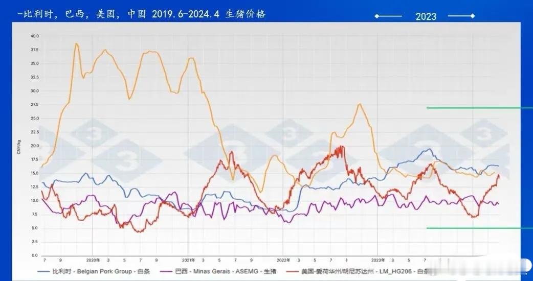 肉猪价格将在二三月份迎来暴跌 我预测2025年仔猪价格虚高，肉猪价格将在二三月份