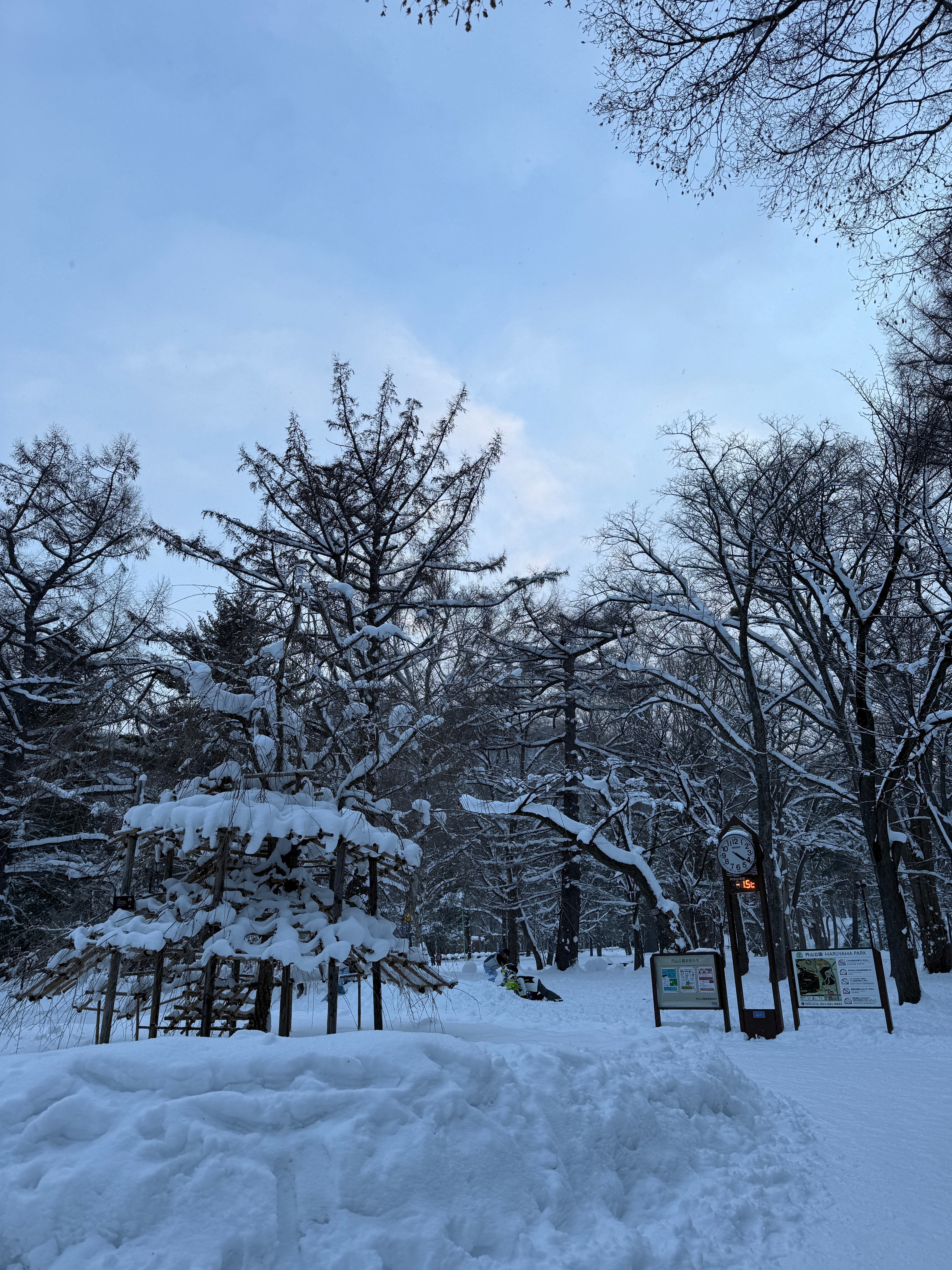 来看大面包雪了🤍🤍🤍    