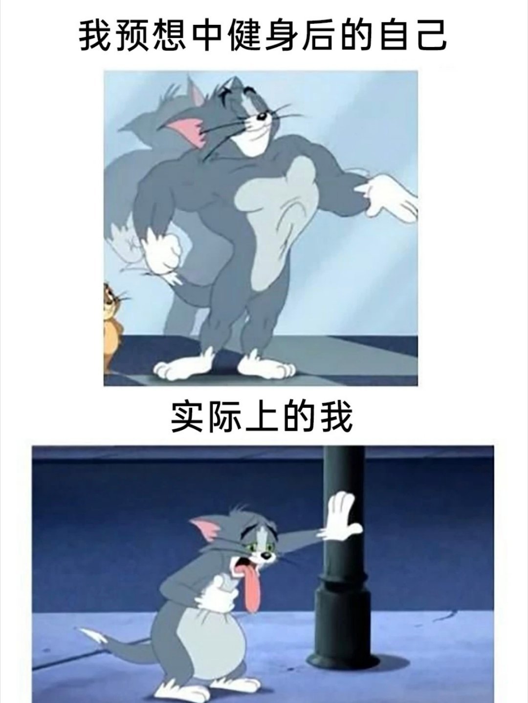 肉身摆烂 ​​​