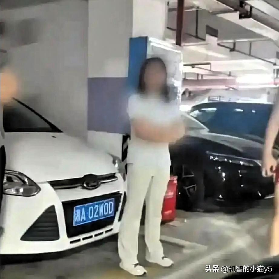 为自己的“跋扈自姿”终将“买单”！
长沙霸占车位的女干部彭某某被停职，着实令人拍