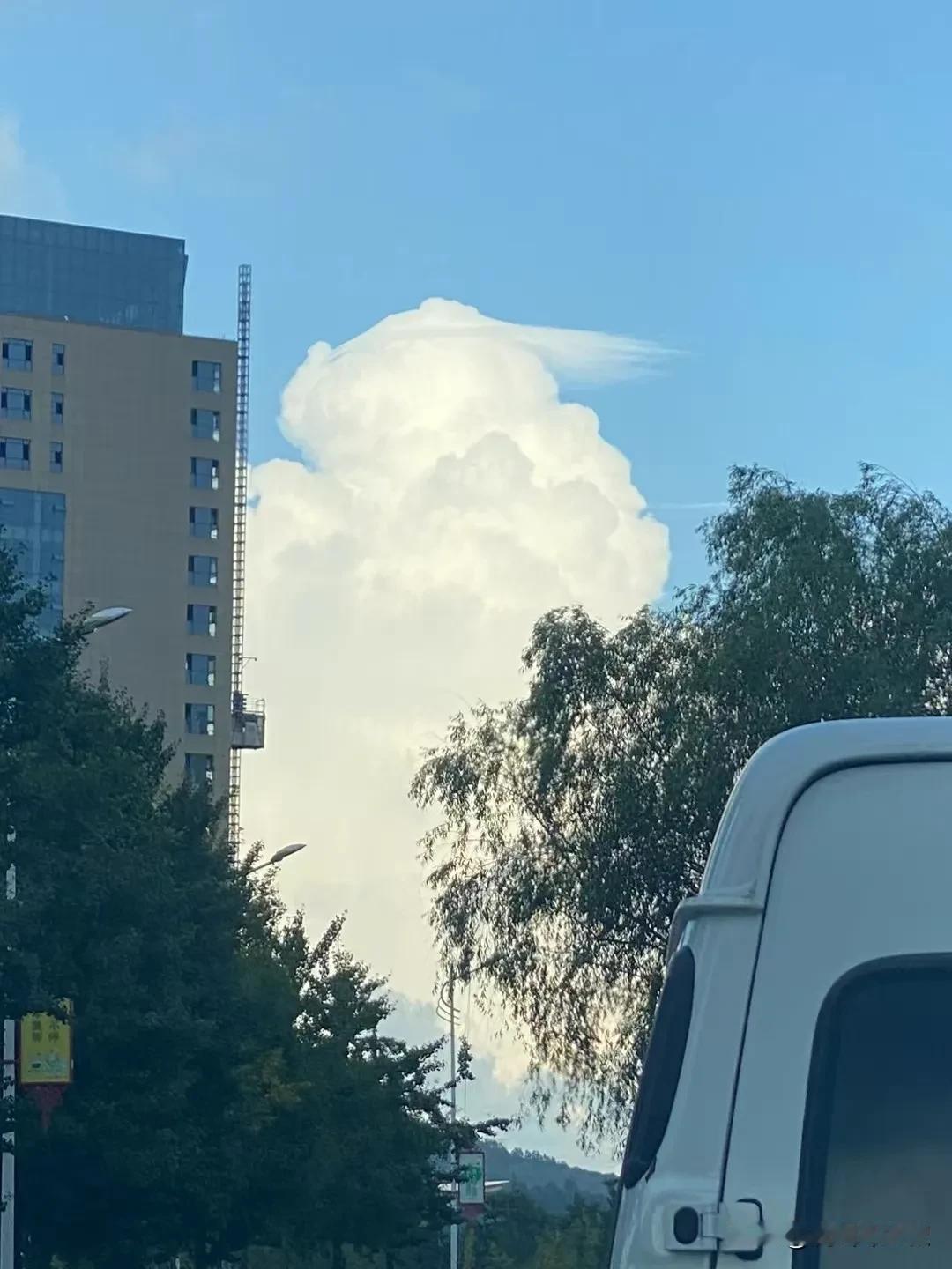 #万能生活指南#
悟空悟空，人人都在说悟空。手残电子ED中年人真的毫无兴趣，推送