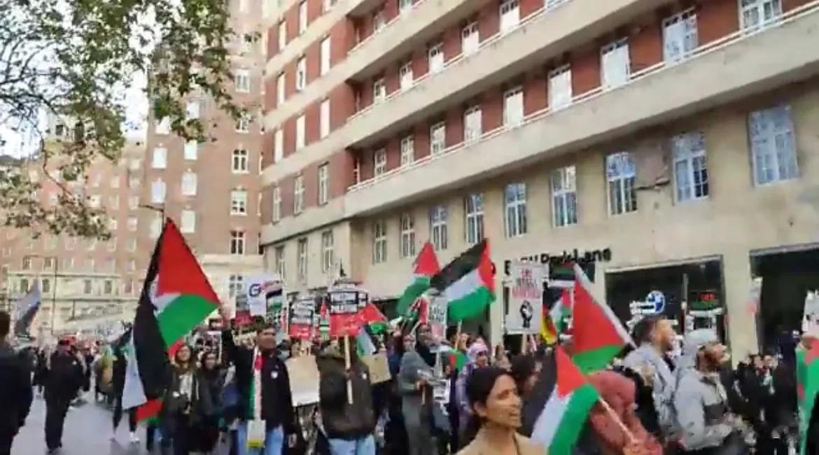英国伦敦爆发十万人大游行支持巴勒斯坦

伦敦约有10万人参加“巴勒斯坦团结组织”