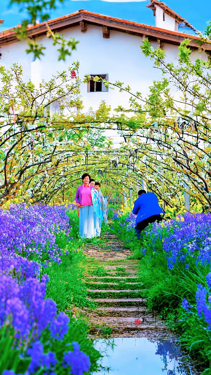 花香扑面开，春风多自在，幸福乐开怀。