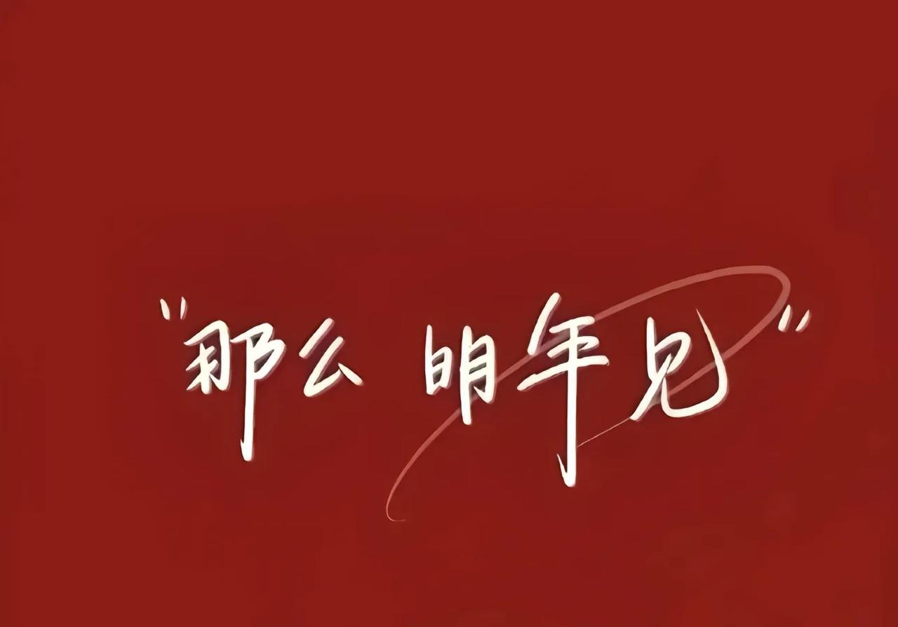 那么 明年见[烟花]