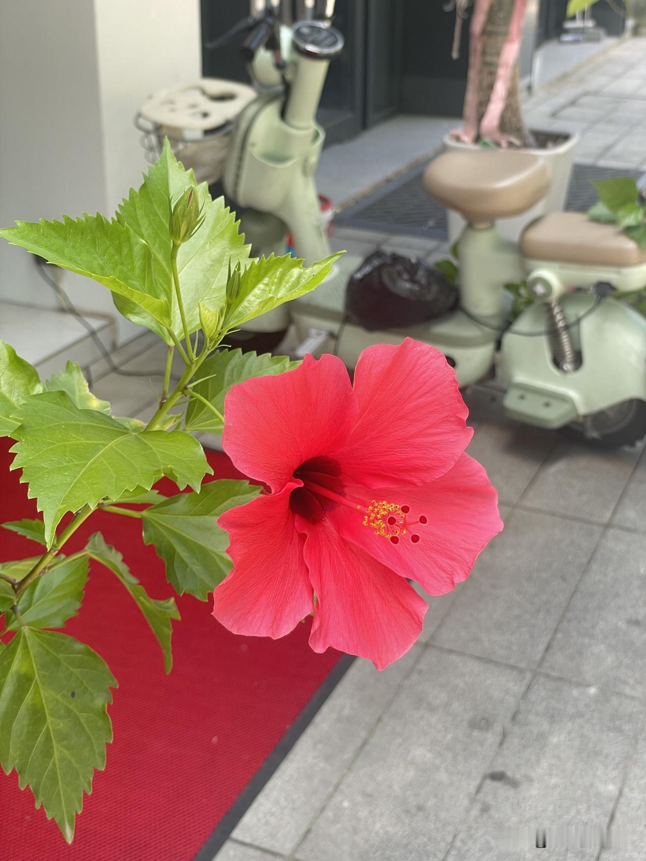 超台风“巴威”有可能登陆温州，我们身在温州的人该准备些什么合适呢？